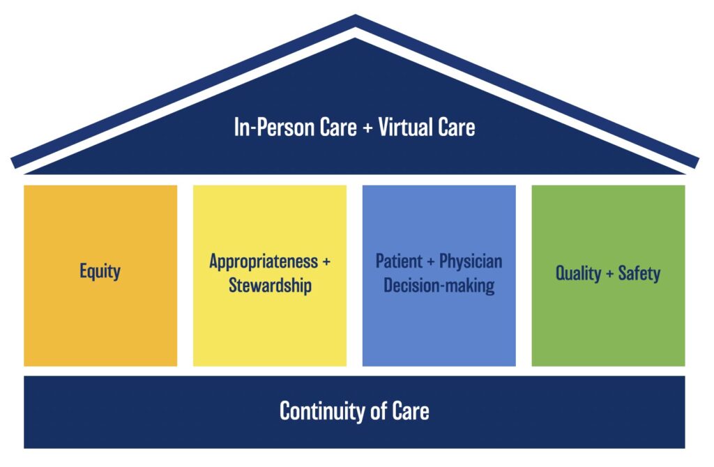 virtual care guiding principls